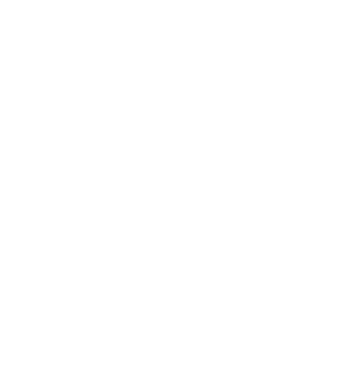 Technical support